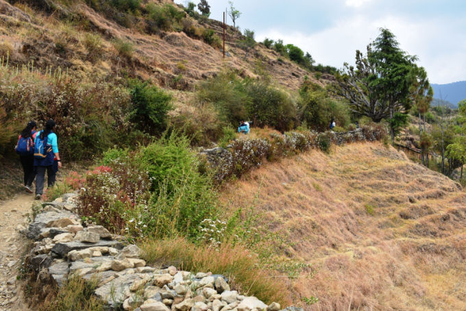 Photo of Trek to Nag Tibba 4/14 by swati kurra