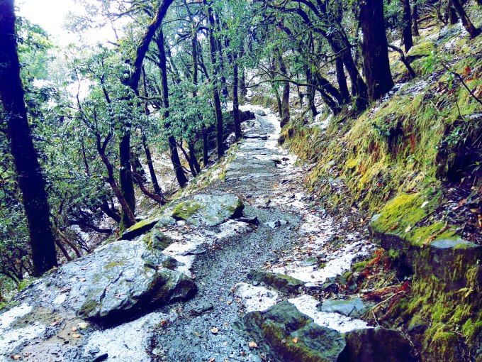 Photo of Trek to Nag Tibba 14/14 by swati kurra