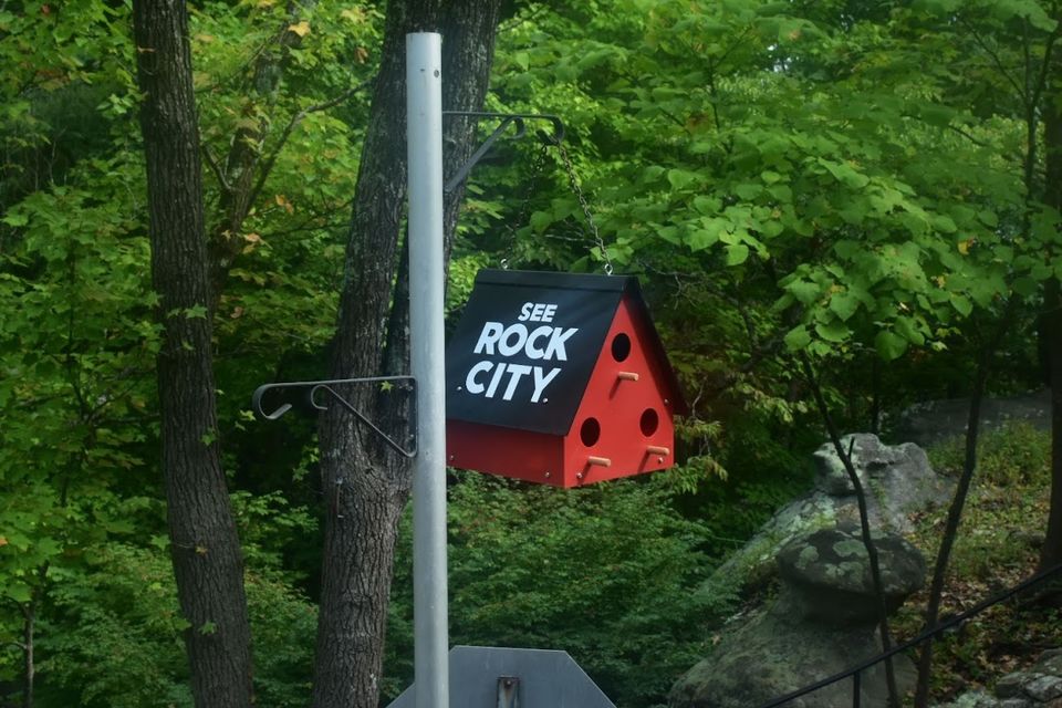 Photo of A Day trip to Rock City 1/4 by swati kurra