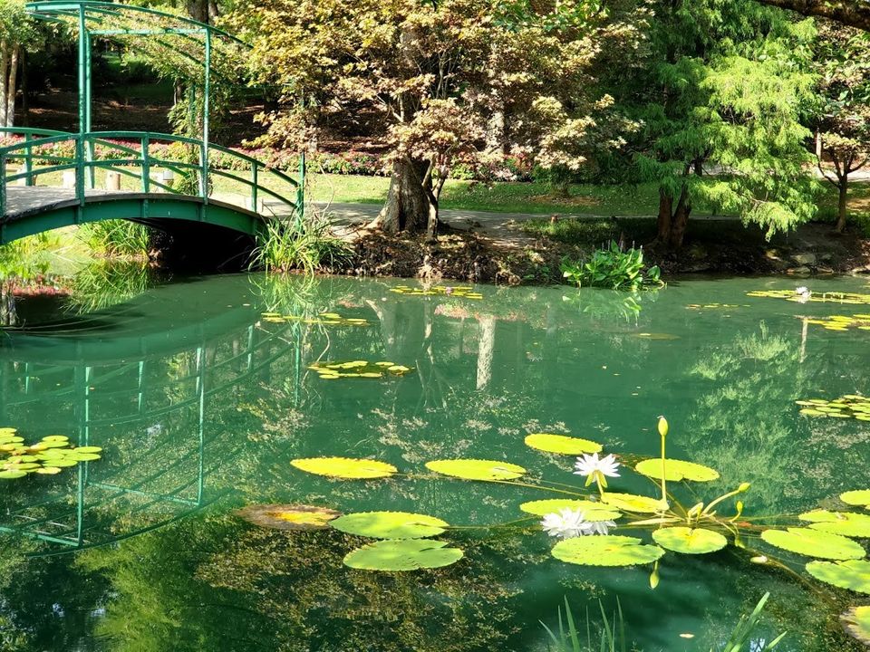Photo of Things to do at Gibbs Garden 1/5 by swati kurra