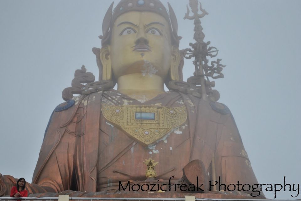 Photo of by Heena Shah