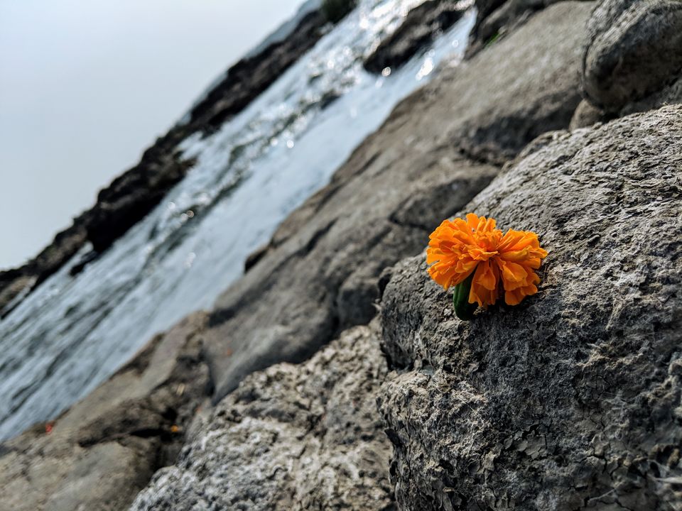 Photo of Maheshwar - visit to Narmada ghat, Ahilya fort and much more.... by Sirf Musafir