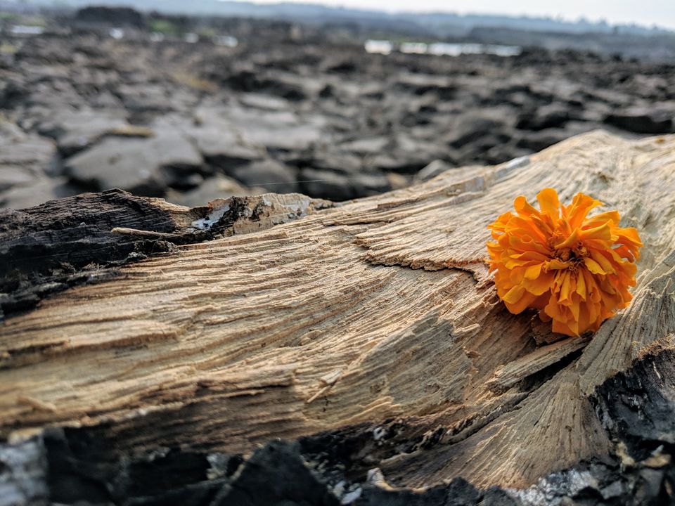 Photo of Maheshwar - visit to Narmada ghat, Ahilya fort and much more.... by Sirf Musafir