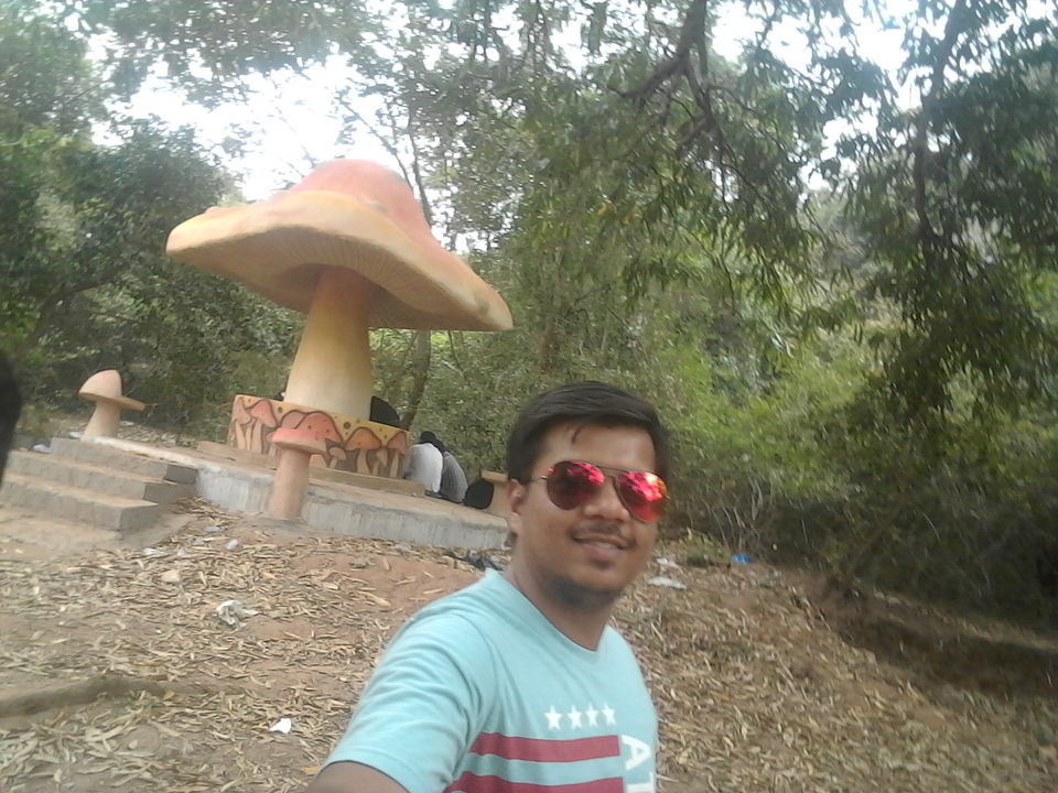 Photo of Tada Waterfalls, Andhra Pradesh by Rajat Sharma