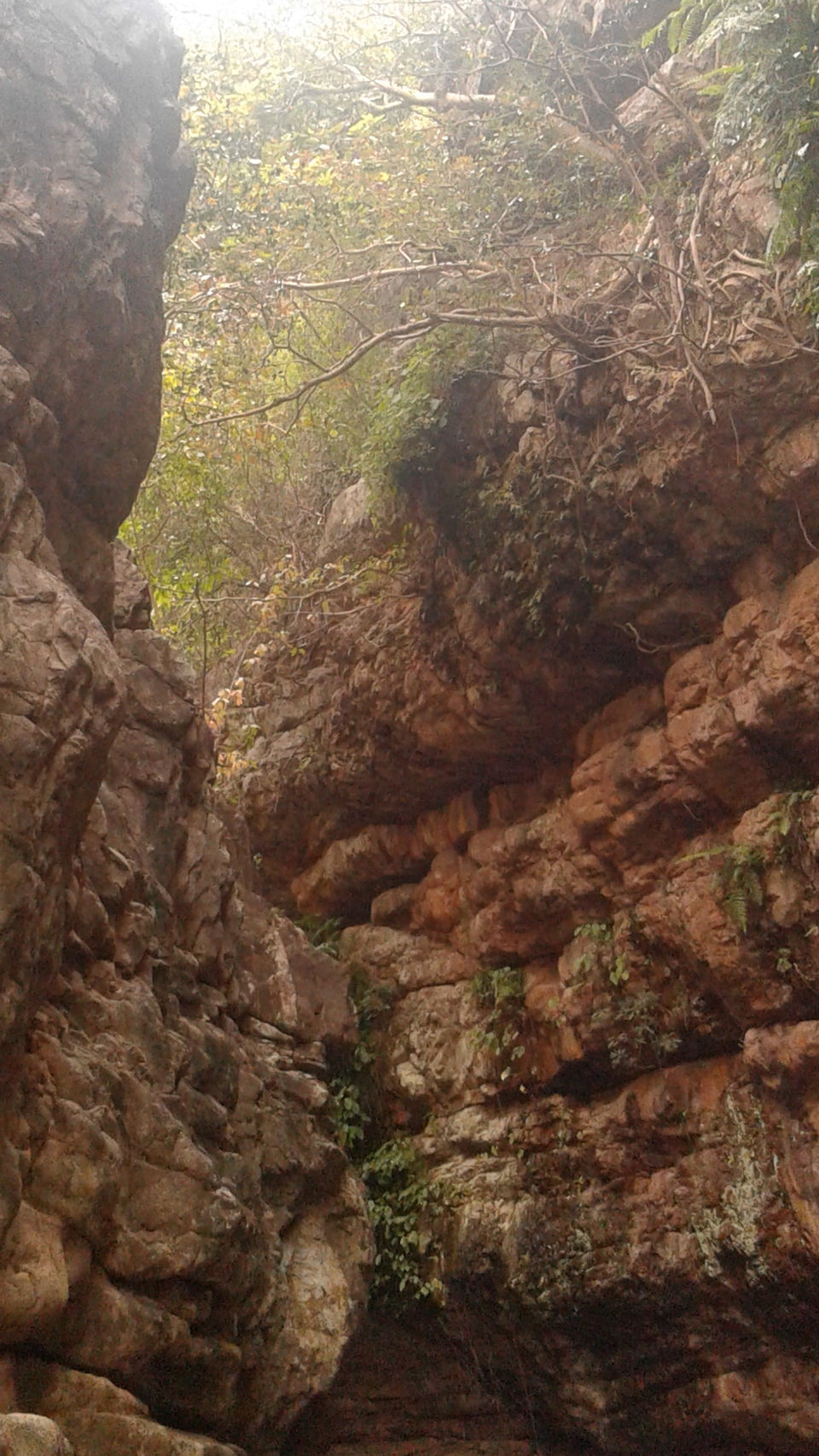 Photo of Tada Waterfalls, Andhra Pradesh by Rajat Sharma