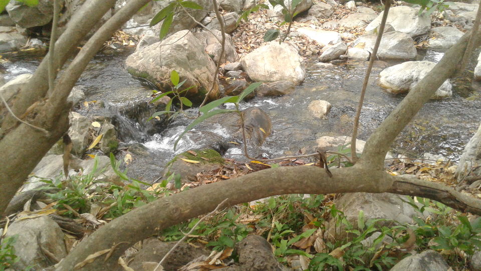 Photo of Tada Waterfalls, Andhra Pradesh by Rajat Sharma