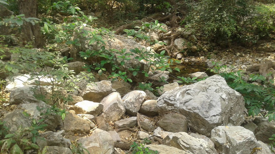 Photo of Tada Waterfalls, Andhra Pradesh by Rajat Sharma