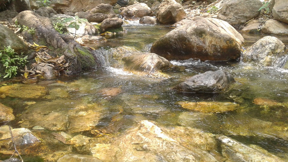 Photo of Tada Waterfalls, Andhra Pradesh by Rajat Sharma