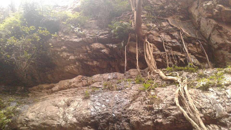 Photo of Tada Waterfalls, Andhra Pradesh by Rajat Sharma