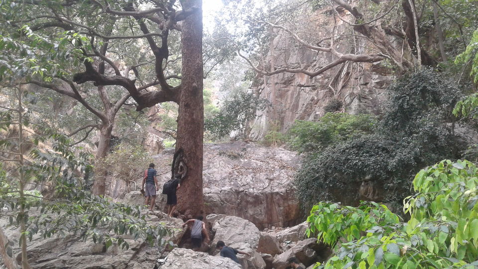 Photo of Tada Waterfalls, Andhra Pradesh by Rajat Sharma