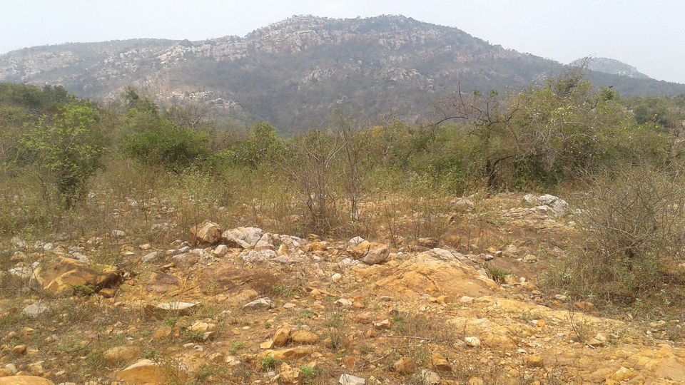 Photo of Tada Waterfalls, Andhra Pradesh by Rajat Sharma