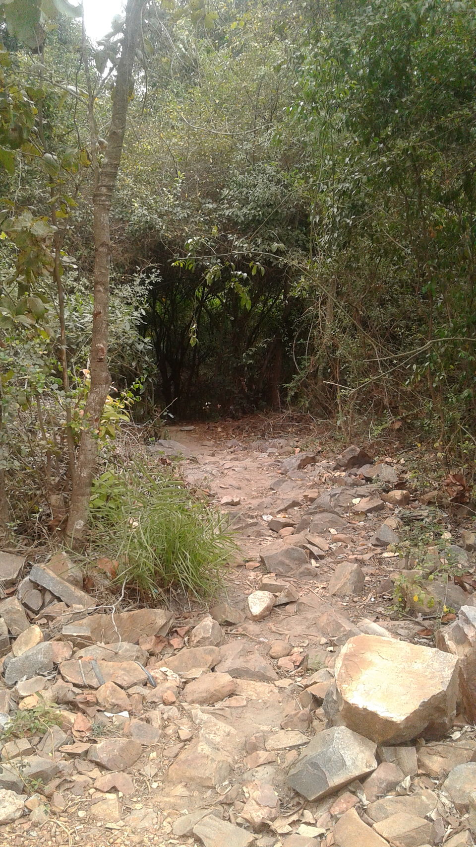 Photo of Tada Waterfalls, Andhra Pradesh by Rajat Sharma