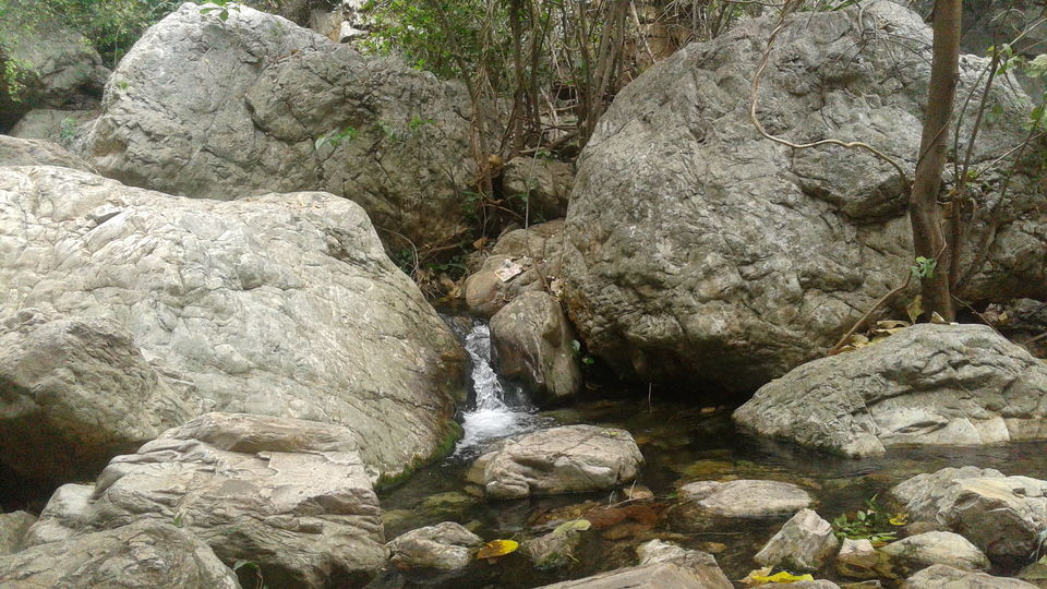 Photo of Tada Waterfalls, Andhra Pradesh by Rajat Sharma