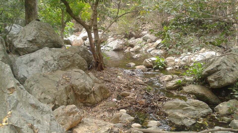 Photo of Tada Waterfalls, Andhra Pradesh by Rajat Sharma