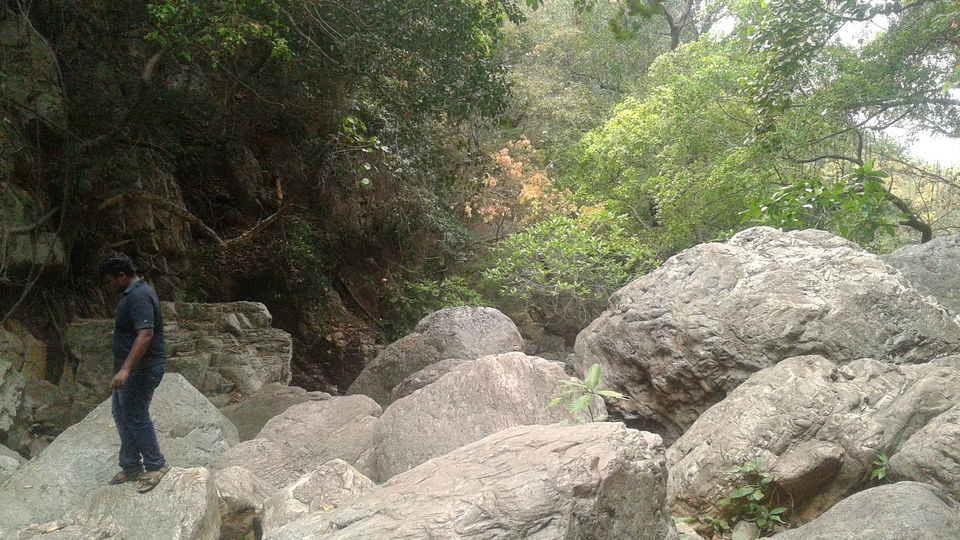 Photo of Tada Waterfalls, Andhra Pradesh by Rajat Sharma