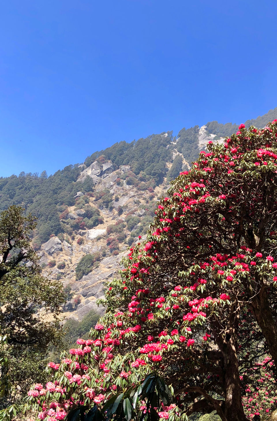 Photo of McLeod Ganj, Dharamshala, Himachal Pradesh, India by Adwita Pant
