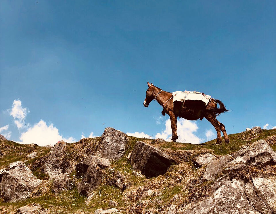 Photo of McLeod Ganj, Dharamshala, Himachal Pradesh, India by Adwita Pant