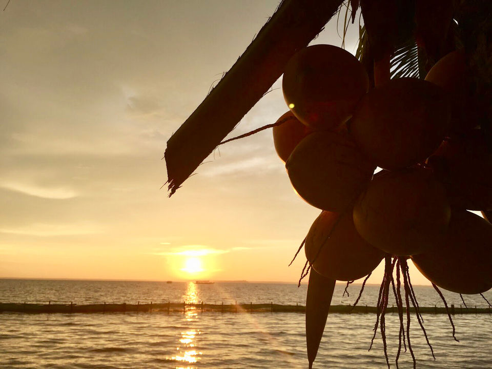 Photo of Kumarakom, Kerala, India by Adwita Pant