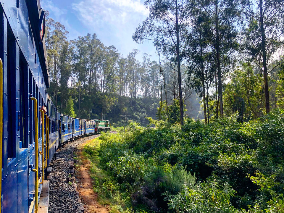 Photo of Ooty, Tamil Nadu, India by Adwita Pant