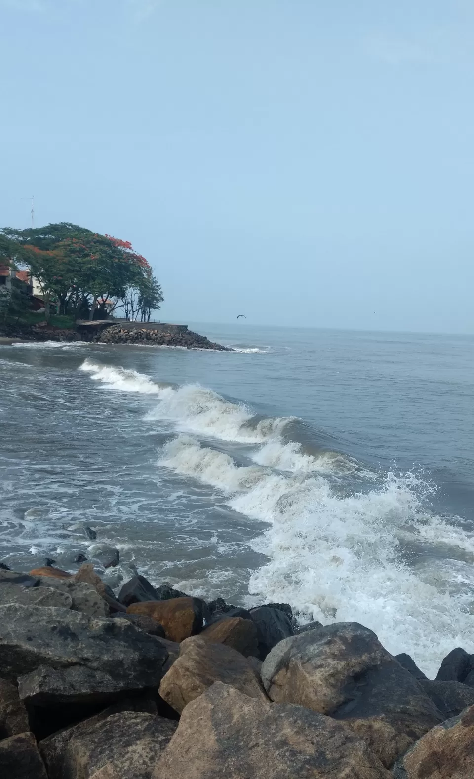 Photo of Cochin, Kerala, India by Komal Popli