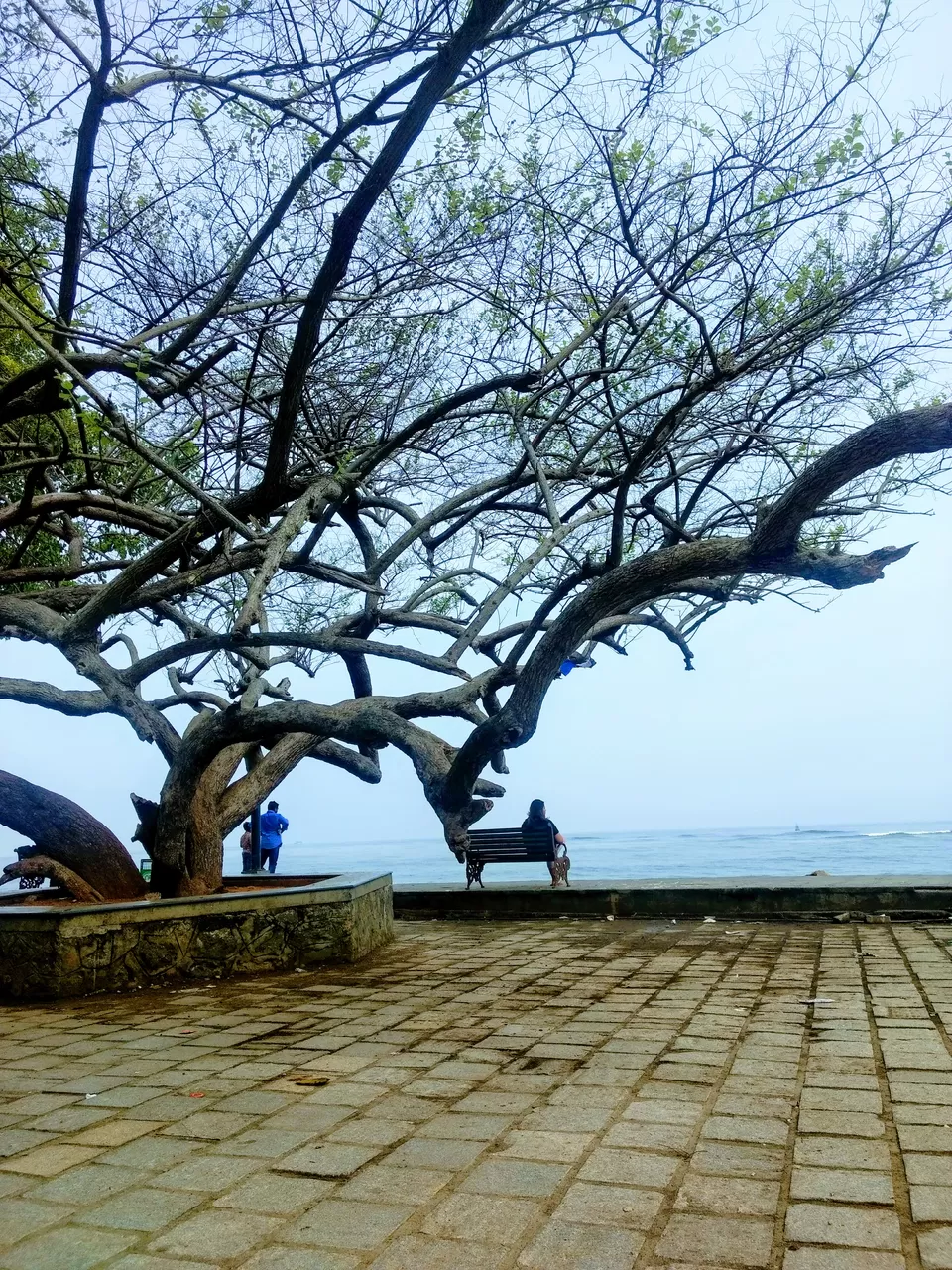 Photo of Cochin, Kerala, India by Komal Popli
