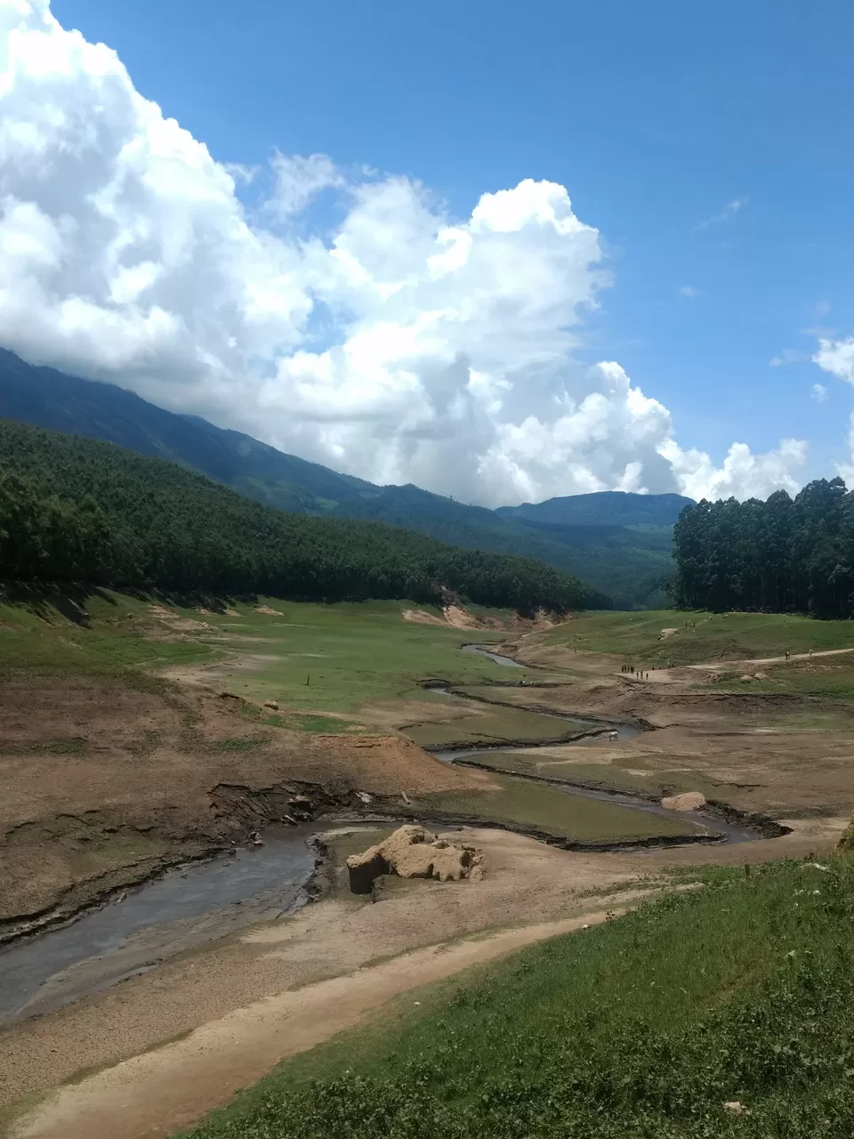 Photo of Munnar, Kerala, India by Komal Popli