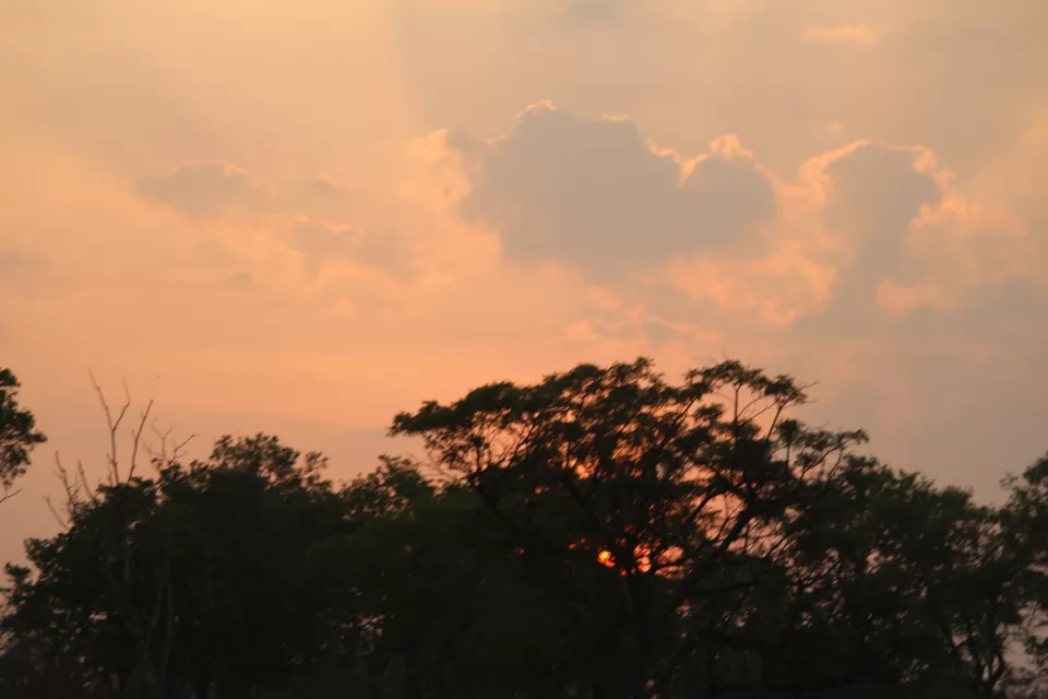 Photo of Bandipur National Park, Bandipur, Karnataka, India by Saurabh Patni