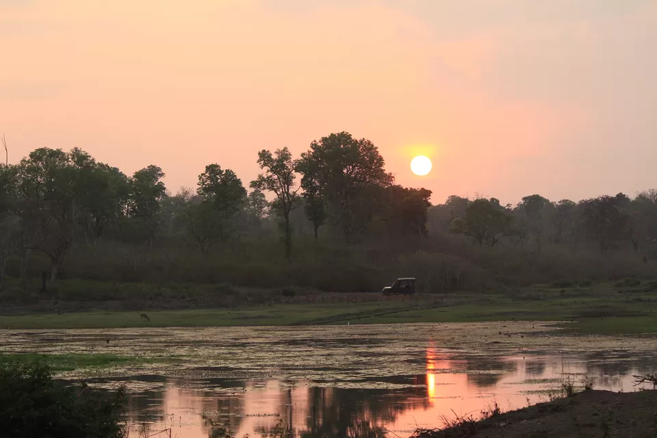 Photo of Bandipur National Park, Bandipur, Karnataka, India by Saurabh Patni
