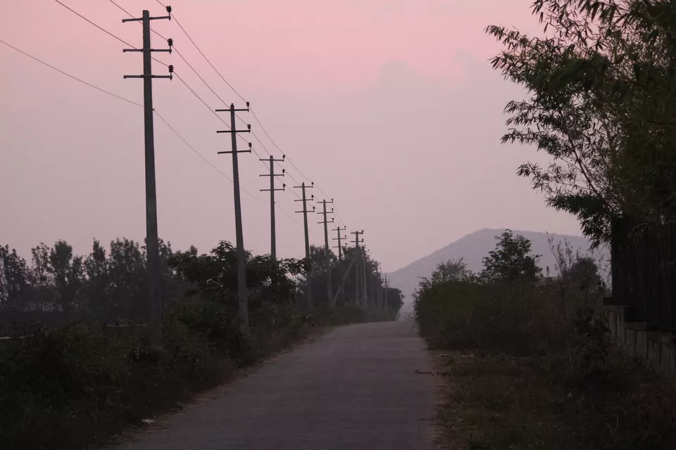 Photo of Bandipur National Park, Bandipur, Karnataka, India by Saurabh Patni