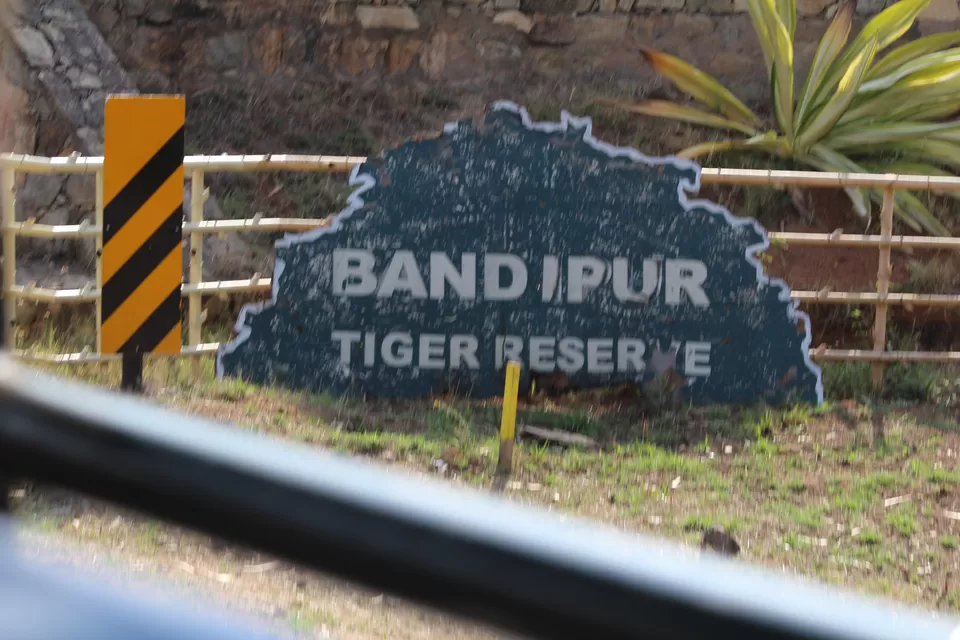 Photo of Bandipur National Park, Bandipur, Karnataka, India by Saurabh Patni