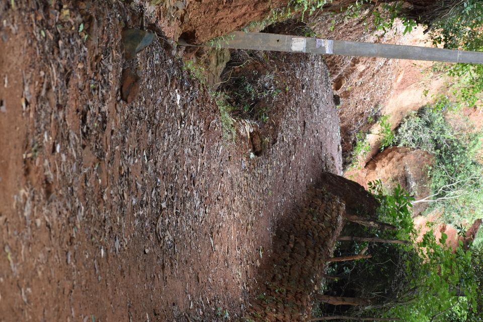 Photo of Escape Plan! by Prithvi Chavan