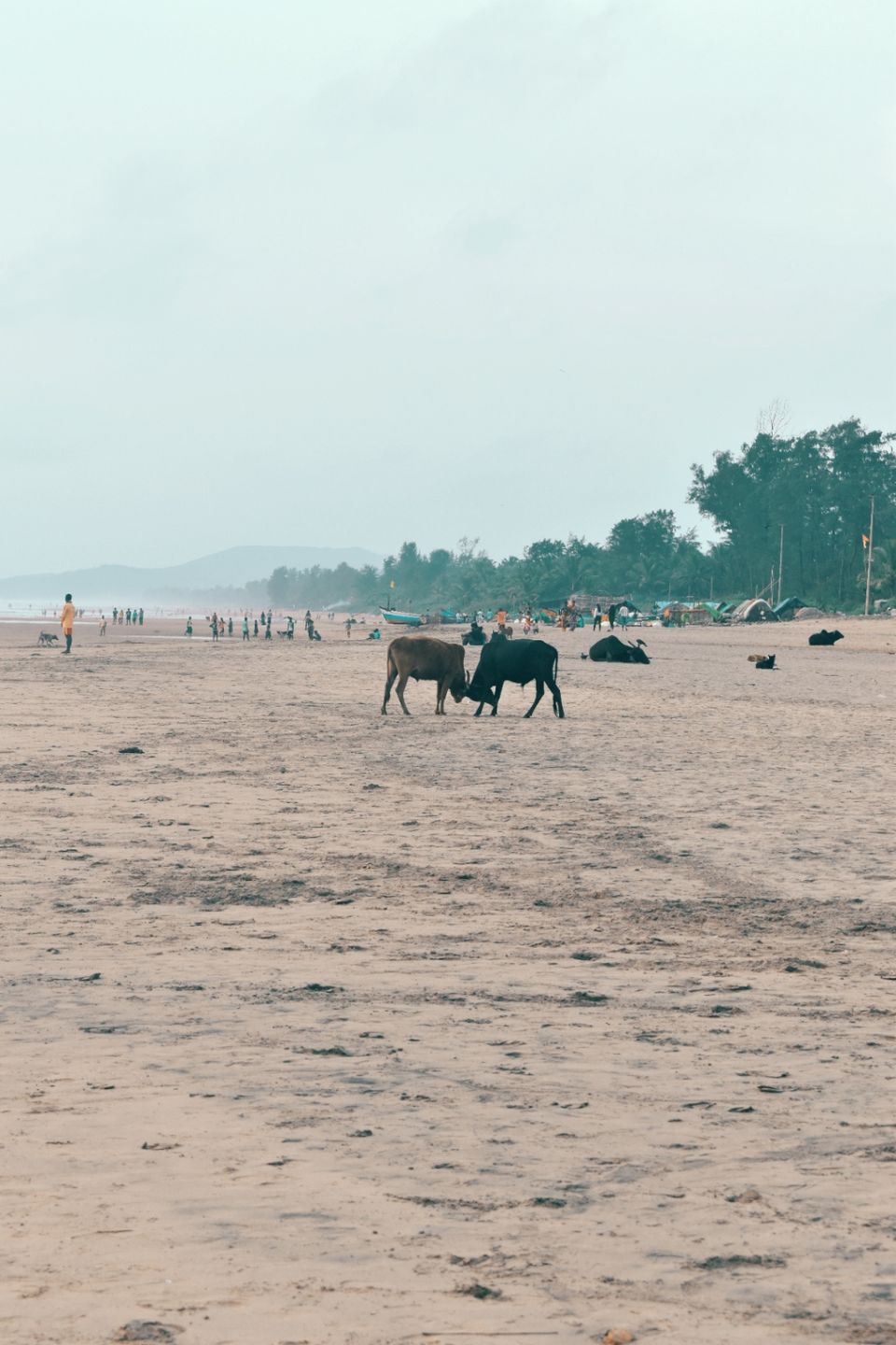 Photo of Escape Plan! by Prithvi Chavan