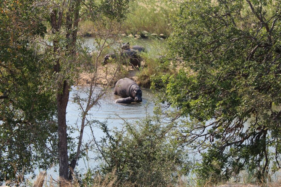 Photo of An animal lover's paradise – South Africa 6/16 by akshay navin