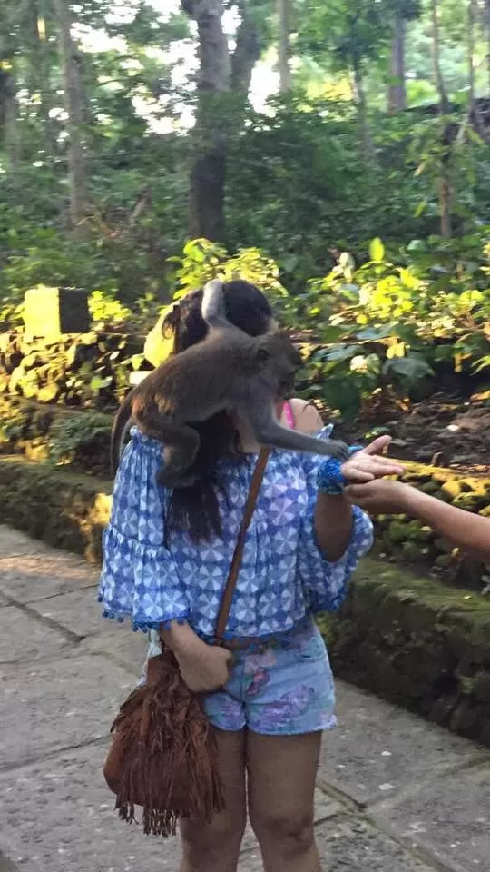 Photo of Monkey Forest, Ubud, Gianyar, Bali, Indonesia by Ginny Bansal