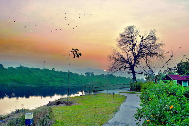 Photo of Weekend Plans Sorted! Head to This Little Oasis 90 Km from Mumbai with Offbeat Accommodation by Ginny Bansal