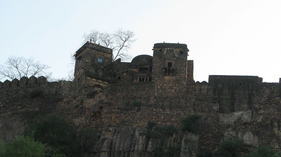 Photo of This Luxury Jungle Camp at Ranthambore Is a Perfect Weekend Getaway from Delhi by Ginny Bansal