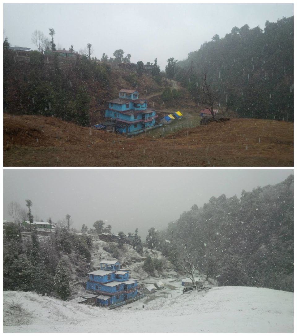 Photo of Chopta - Mini Switzerland of My World 2/20 by Paramjeet Singh