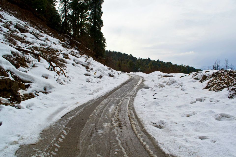 Photo of Chopta - Mini Switzerland of My World 3/20 by Paramjeet Singh