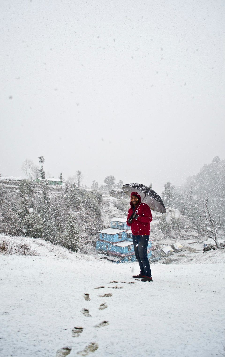 Photo of Chopta - Mini Switzerland of My World 4/20 by Paramjeet Singh