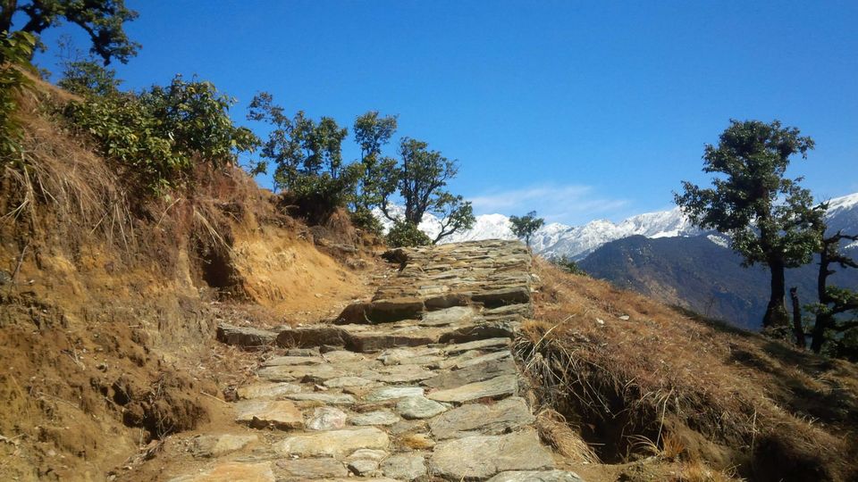 Photo of Chopta - Mini Switzerland of My World 7/20 by Paramjeet Singh
