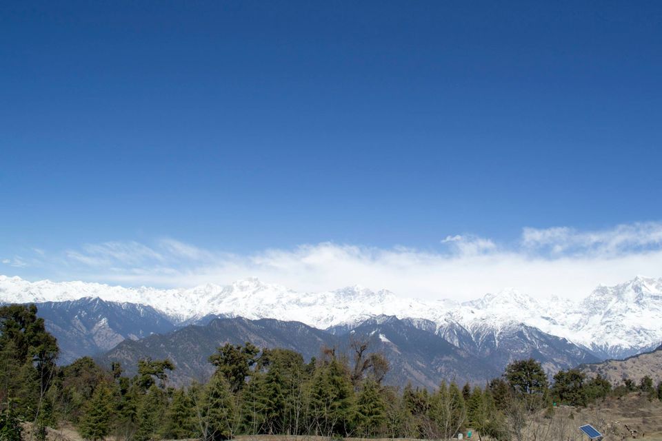 Photo of Chopta - Mini Switzerland of My World 10/20 by Paramjeet Singh