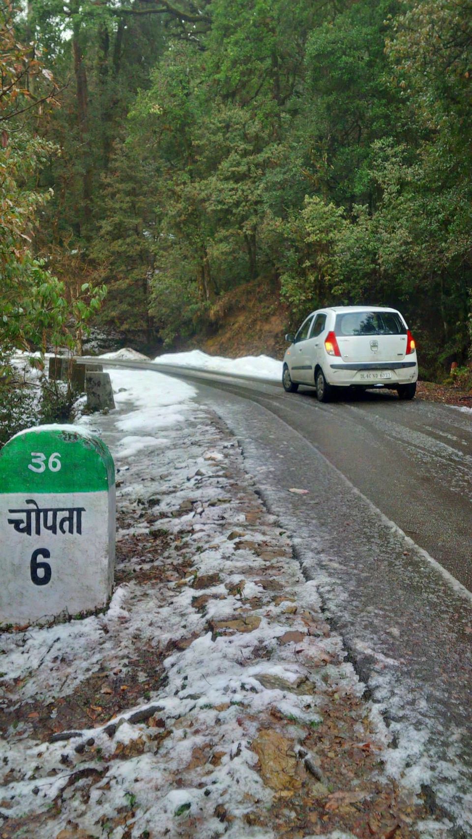 Photo of Chopta - Mini Switzerland of My World 1/20 by Paramjeet Singh