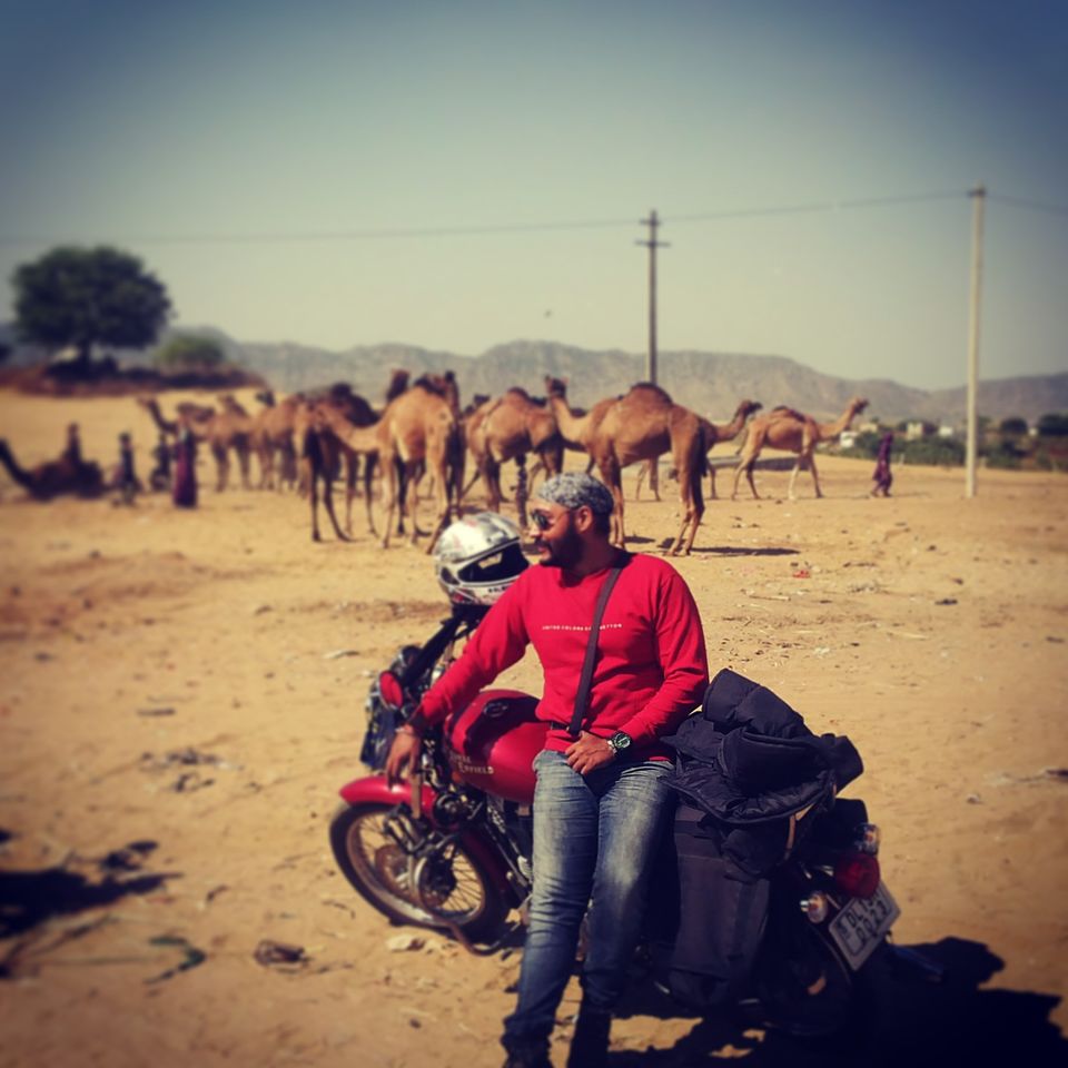 Photo of Ride to the Dry Sea - Sambhar Lake 5/8 by Paramjeet Singh