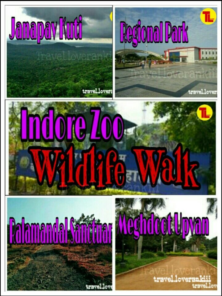 Photo of INDORE Thru my Eyes -- A WILDLIFE WALK by Ankita Sahu