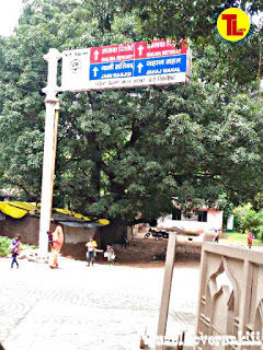 Photo of MANDU - The City of Love 11/35 by Ankita Sahu 