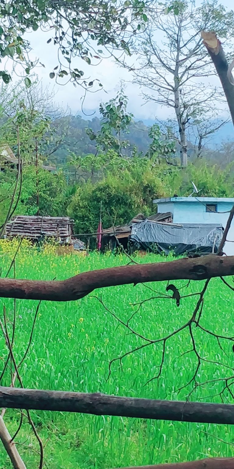 Photo of Deer View Resort, Ramnagar, Uttarakhand, India by Kapil Bhardwaj