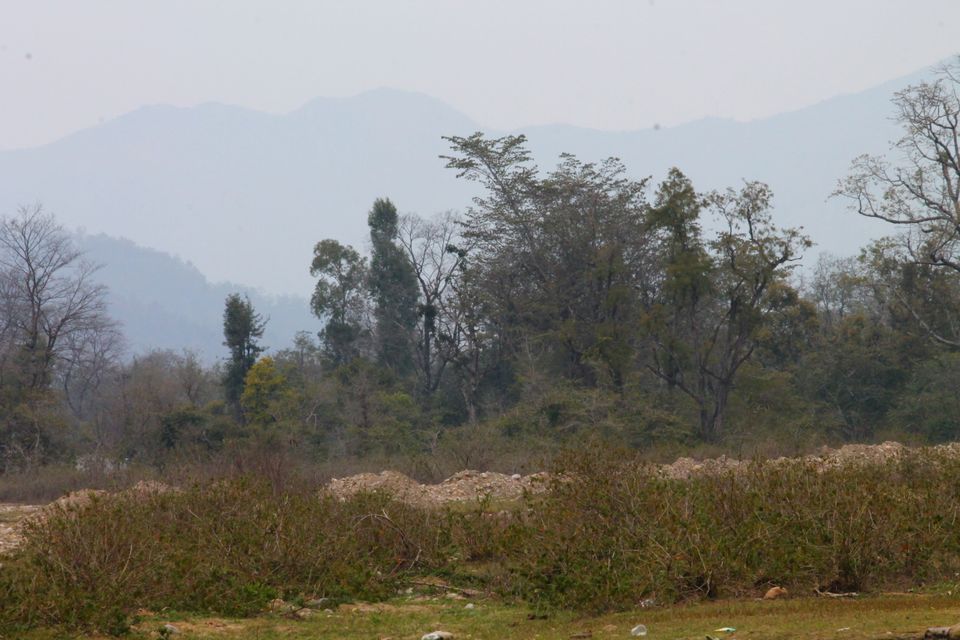 Photo of Teda, Uttarakhand, Republic of India by Kapil Bhardwaj