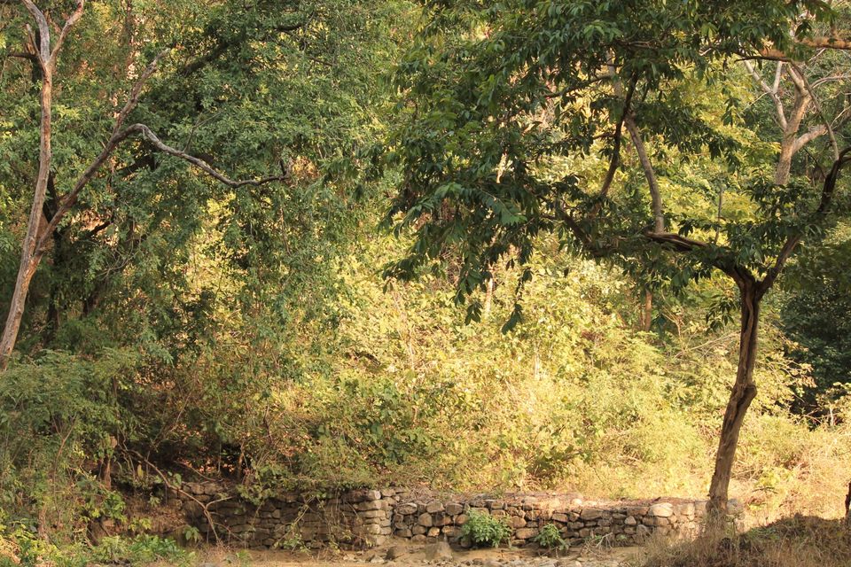 Photo of Jhirna Forest Rest House, Sona Nadi Range, Uttarakhand, India by Kapil Bhardwaj