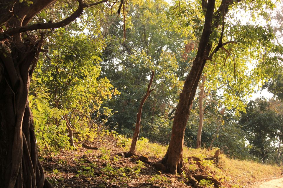 Photo of Jhirna Forest Rest House, Sona Nadi Range, Uttarakhand, India by Kapil Bhardwaj