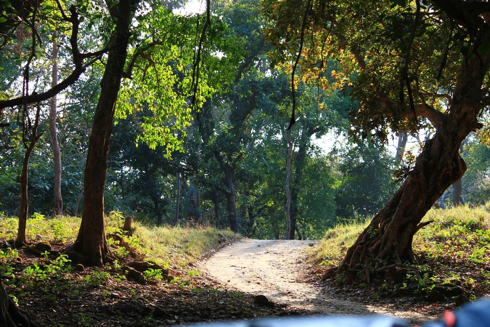 Photo of Jhirna Forest Rest House, Sona Nadi Range, Uttarakhand, India by Kapil Bhardwaj
